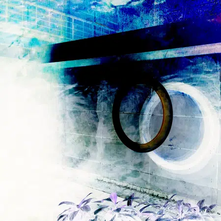 Japan Portal Meets Miami VI