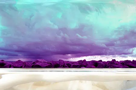 Surreal Dolphin Head Landscape IX