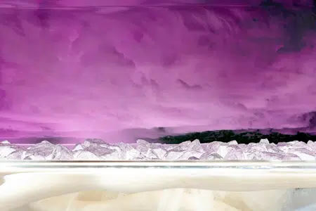 Surreal Dolphin Head Landscape VII