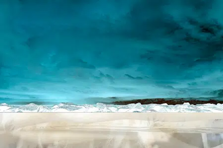 Surreal Dolphin Head Landscape X