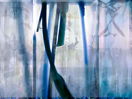 Calla Lily Triptych III