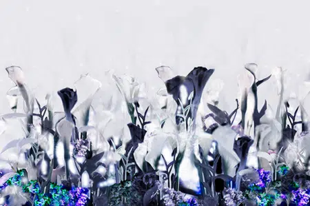 Calla Lily Landscape